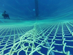 魚網用銅合金線「UR30ST」