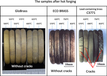 The samples after hot forging