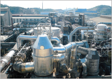 伝統の技術で環境負荷ゼロへ